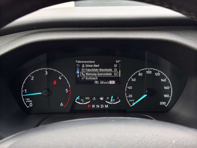 Ford Tourneo Custom Gebrauchtwagen