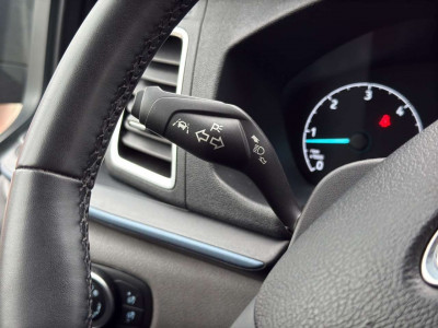 Ford Tourneo Custom Gebrauchtwagen