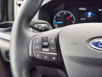 Ford Tourneo Custom Gebrauchtwagen