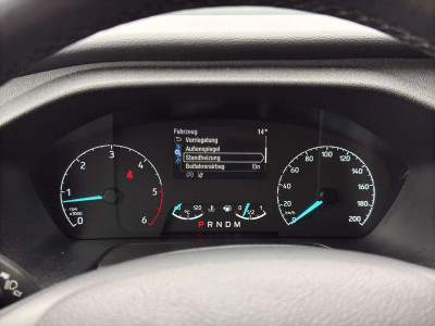 Ford Tourneo Custom Gebrauchtwagen