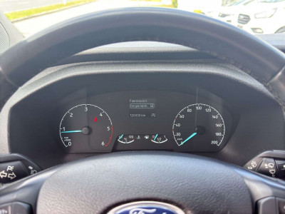 Ford Transit Custom Gebrauchtwagen Ford Transit Custom Gebrauchtwagen