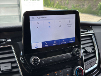Ford Tourneo Custom Gebrauchtwagen