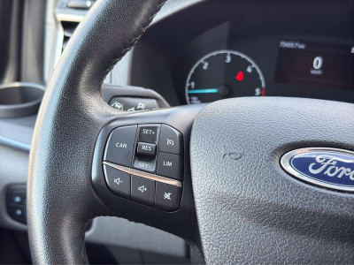 Ford Tourneo Custom Gebrauchtwagen