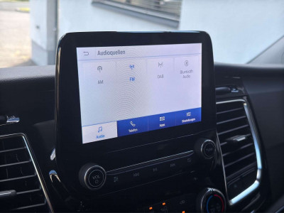 Ford Tourneo Custom Gebrauchtwagen