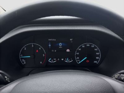 Ford Tourneo Custom Gebrauchtwagen