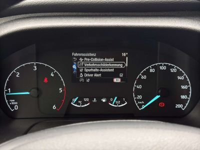 Ford Tourneo Custom Gebrauchtwagen