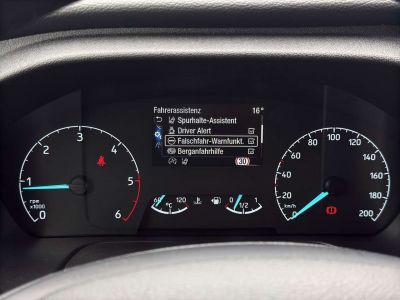 Ford Tourneo Custom Gebrauchtwagen