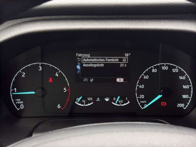 Ford Tourneo Custom Gebrauchtwagen