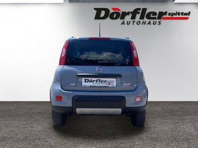 Fiat Panda Gebrauchtwagen