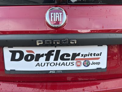 Fiat Panda Gebrauchtwagen Fiat Panda Gebrauchtwagen