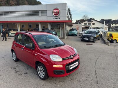 Fiat Panda Gebrauchtwagen Fiat Panda Gebrauchtwagen