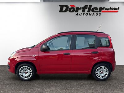 Fiat Panda Gebrauchtwagen Fiat Panda Gebrauchtwagen