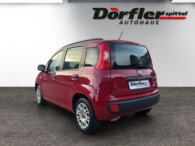 Fiat Panda Gebrauchtwagen Fiat Panda Gebrauchtwagen