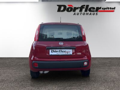 Fiat Panda Gebrauchtwagen Fiat Panda Gebrauchtwagen