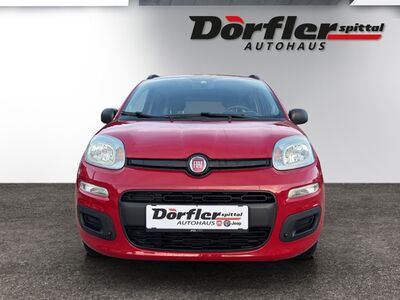Fiat Panda Gebrauchtwagen Fiat Panda Gebrauchtwagen