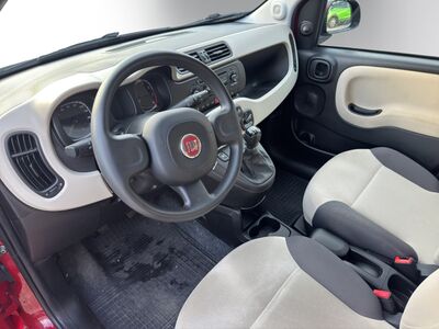 Fiat Panda Gebrauchtwagen Fiat Panda Gebrauchtwagen