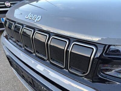 Jeep Avenger Tageszulassung