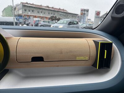 Fiat Grande Panda Tageszulassung