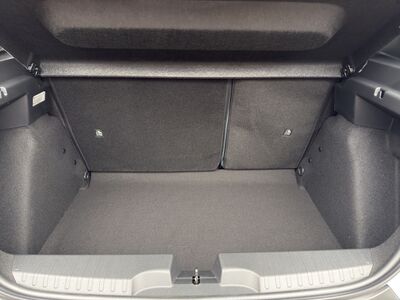 Fiat Grande Panda Tageszulassung