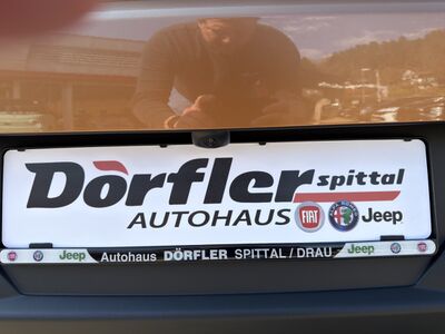 Fiat Grande Panda Tageszulassung