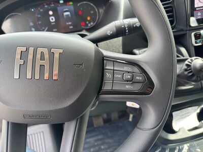 Fiat Ducato Tageszulassung