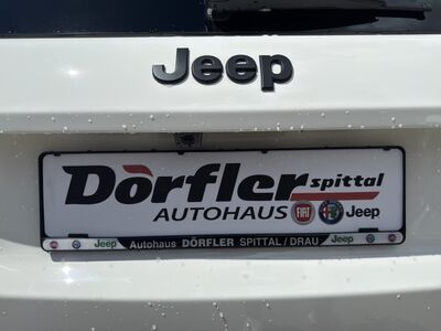 Jeep Avenger Tageszulassung