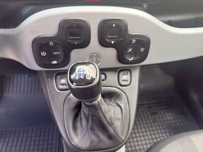 Fiat Panda Gebrauchtwagen Fiat Panda Gebrauchtwagen
