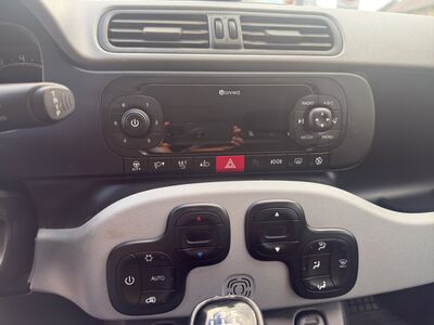 Fiat Panda Gebrauchtwagen Fiat Panda Gebrauchtwagen