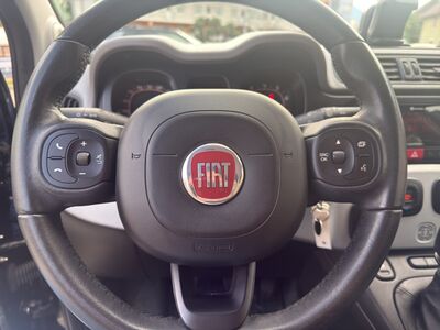 Fiat Panda Gebrauchtwagen Fiat Panda Gebrauchtwagen