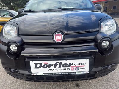 Fiat Panda Gebrauchtwagen Fiat Panda Gebrauchtwagen