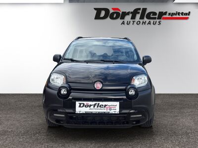Fiat Panda Gebrauchtwagen Fiat Panda Gebrauchtwagen
