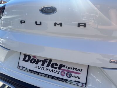 Ford Puma Gebrauchtwagen Ford Puma Gebrauchtwagen