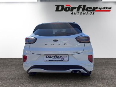 Ford Puma Gebrauchtwagen Ford Puma Gebrauchtwagen