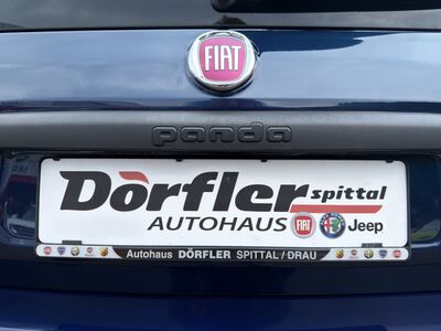 Fiat Panda Gebrauchtwagen Fiat Panda Gebrauchtwagen