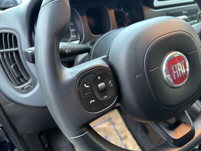 Fiat Panda Gebrauchtwagen Fiat Panda Gebrauchtwagen