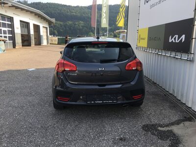 KIA Ceed Gebrauchtwagen