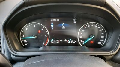 Ford EcoSport Gebrauchtwagen