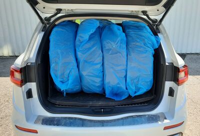 Renault Koleos Gebrauchtwagen