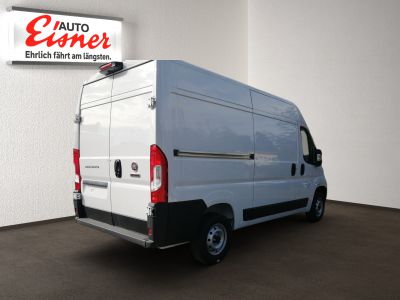 Fiat Ducato Neuwagen