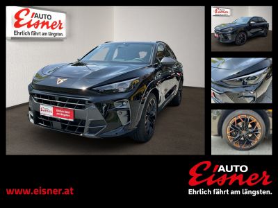 Cupra Terramar Vorführwagen