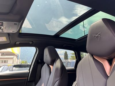 Cupra Terramar Vorführwagen