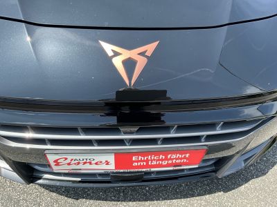 Cupra Terramar Vorführwagen