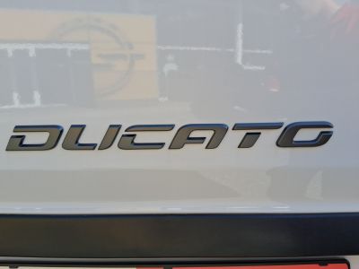 Fiat Ducato Gebrauchtwagen