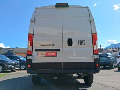 Fiat Ducato Gebrauchtwagen