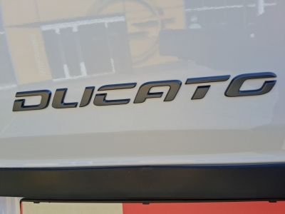 Fiat Ducato Gebrauchtwagen