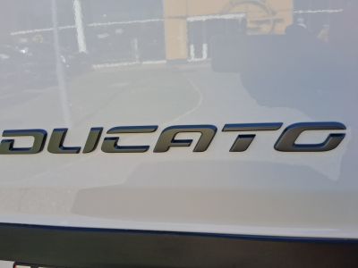 Fiat Ducato Gebrauchtwagen