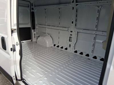 Fiat Ducato Gebrauchtwagen