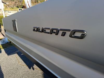 Fiat Ducato Gebrauchtwagen