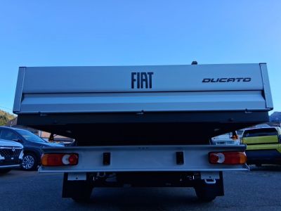 Fiat Ducato Gebrauchtwagen