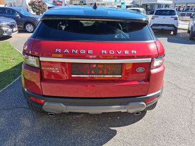 Land Rover Range Rover Evoque Gebrauchtwagen